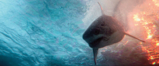 Renny Harlin yrittää syöttää Aaron Eckhartin tappajahaille – katso traileri