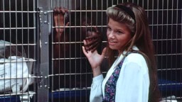 Kulttihetki: David Lynchin lempielokuva vuodelta 1990 on outo tappajapaviaanikauhu – katso nyt ilmaiseksi