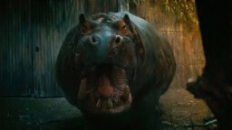 Nyt on kaikki nähty: nälkäisestä virtahevosta on tehty kauhuleffa – katso traileri