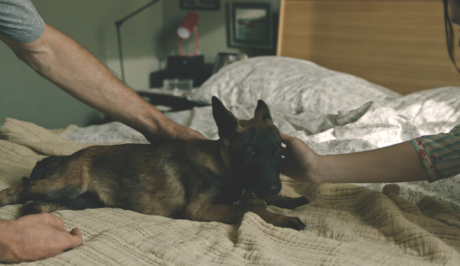 Ridley Scott palaa synkkään scifiin – The Dog Stars -elokuvan traileri julkaistu