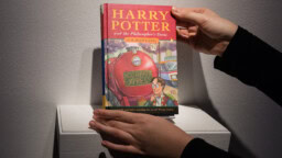 Vintille unohdettu Harry Potter rikkoi maailmanennätyksen
