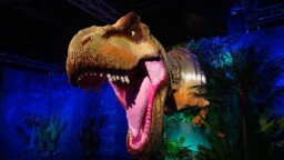 Jurassic World -maailmaan pohjautuva Lego-näyttely tulee Suomeen – Mukana 200 000 palikan dinosaurus