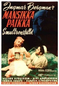 mansikkapaikka